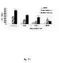 Fig. 33 - JNK inhibitor molecules