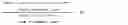 Fig. 02 - Antibodies to OX-2/CD200 and uses thereof