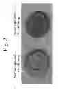 Fig. 03 - Process for protein extraction