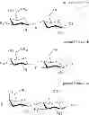 Fig. 08 - DERIVATIZATION OF OLIGOSACCHARIDES