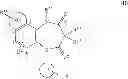 Fig. 32 - P2Xreceptor antagonist