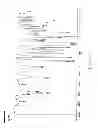Fig. 04 - PROCESS TO PREPARE ETHYL 4-METHYL-2-(4-(2-METHYLPROPYLOXY)-3-CYANOPHENYL)-5-THIAZOLECARBOXYLATE