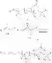Fig. 06 - Method for manufacturing hydrophilic silicone macromer