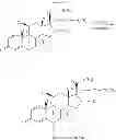 Fig. 09 - Process for the Preparation of Fluticasone Propionate
