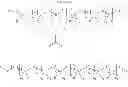 Fig. 09 - Method of manufacturing hydrophilic silicone prepolymer