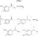 Fig. 04 - Process for the preparation of 4-iodo-3-nitrobenzamide