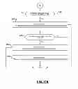 Fig. 19 - Graphical user interface pertaining to a bolus calculator residing on a handheld diabetes management device
