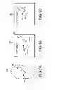 Fig. 09 - Motion-Compensated Image Fusion