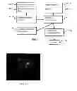 Fig. 07 - Multi-modal medical imaging