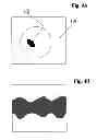 Fig. 06 - M-mode ultrasound imaging of arbitrary paths