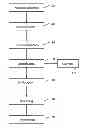 Fig. 01 - Method and device for identifying a subject in a sensor based monitoring system