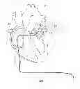 Fig. 01 - DETERMINING APPARATUS AND DETERMINING METHOD