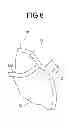 Fig. 05 - DETERMINING APPARATUS AND DETERMINING METHOD