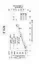 Fig. 07 - DETERMINING APPARATUS AND DETERMINING METHOD