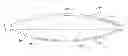 Fig. 01 - BALLOON EXPANDABLE MULTI-ELECTRODE RF ABLATION CATHETER