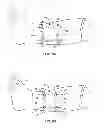 Fig. 12 - Devices For Cast Removal, Methods of Applying a Cast and Removal Device to a Patient, and Methods of their Removal