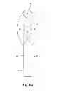Fig. 10 - Expandable shield instrument for use in intraocular surgery