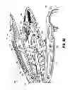 Fig. 16 - SURGICAL CLIP APPLIER
