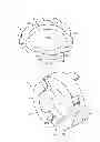 Fig. 05 - Plate/screw locking mechanism devices, systems and methods