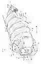 Fig. 22 - Plate/screw locking mechanism devices, systems and methods