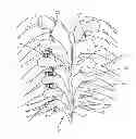 Fig. 01 - System and method for correction of a spinal disorder