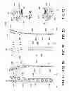Fig. 32 - Systems and methods for using polyaxial plates