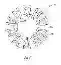 Fig. 09 - Toroidal compressible element including a switchback pattern