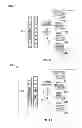 Fig. 08 - Method and apparatus for controlling stimulation pulses during the programming of an implantable pulse generator