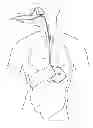 Fig. 01 - SYSTEM FOR CONTROLLING THE TEMPERATURE OF A PERSON