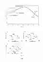 Fig. 08 - Silk fibroin hydrogels and uses thereof
