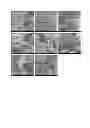 Fig. 14 - Silk fibroin hydrogels and uses thereof