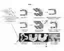 Fig. 03 - Multilayered silk scaffolds for meniscus tissue engineering