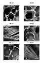 Fig. 04 - Multilayered silk scaffolds for meniscus tissue engineering