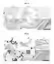 Fig. 10 - Multilayered silk scaffolds for meniscus tissue engineering