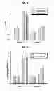 Fig. 14 - Multilayered silk scaffolds for meniscus tissue engineering