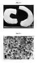 Fig. 17 - Multilayered silk scaffolds for meniscus tissue engineering