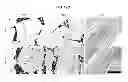 Fig. 23 - Multilayered silk scaffolds for meniscus tissue engineering