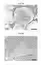 Fig. 26 - Multilayered silk scaffolds for meniscus tissue engineering