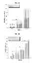 Fig. 29 - Multilayered silk scaffolds for meniscus tissue engineering