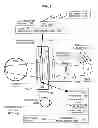 Fig. 02 - Optical device with interchangeable corrective elements