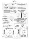 Fig. 40 - Optical device with interchangeable corrective elements