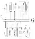 Fig. 15 - Method and apparatus for determining performance of a gamer