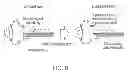 Fig. 09 - Systems and methods for duplicating keys