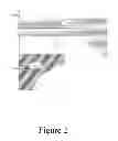 Fig. 03 - Early identification of a vortex ring phase