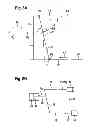 Fig. 07 - Method for operating a brake-boosted hydraulic brake system of a vehicle and control device for a brake-boosted hydraulic brake system of a vehicle