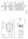 Fig. 12 - EVIDENCE-BASED HEALTHCARE INFORMATION MANAGEMENT PROTOCOLS
