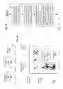 Fig. 35 - EVIDENCE-BASED HEALTHCARE INFORMATION MANAGEMENT PROTOCOLS