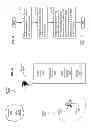 Fig. 40 - EVIDENCE-BASED HEALTHCARE INFORMATION MANAGEMENT PROTOCOLS