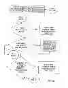 Fig. 19 - Automation of auditing claims
