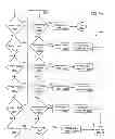 Fig. 63 - Automation of auditing claims